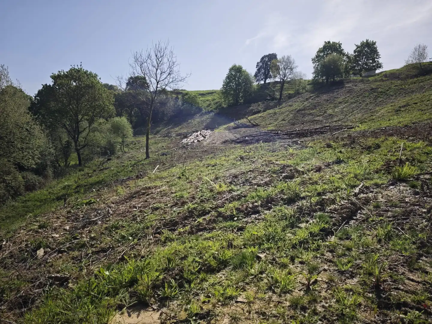 Terreni e lotti in vendita a Oruña, imagen 4