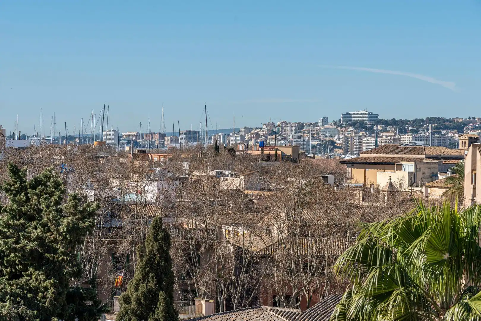 Vista exterior de Pis en venda en  Palma de Mallorca amb Aire condicionat, Calefacció i Terrassa