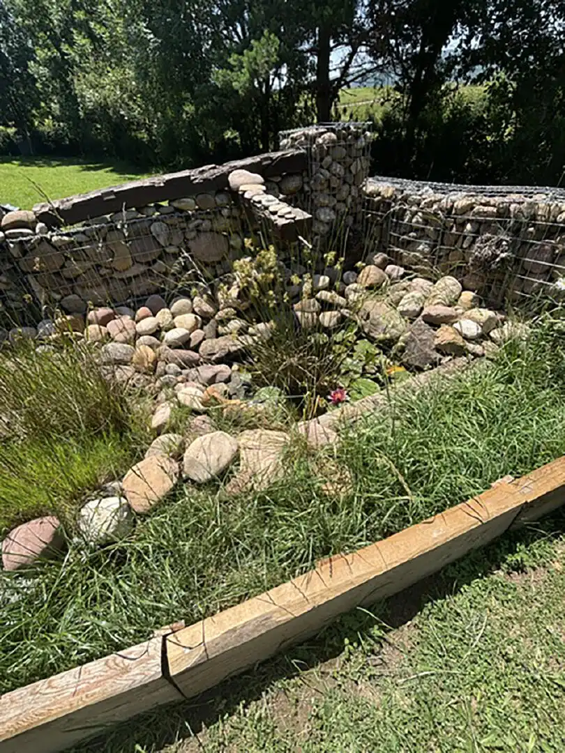 Jardí de Casa o xalet en venda en Las Rozas de Valdearroyo 