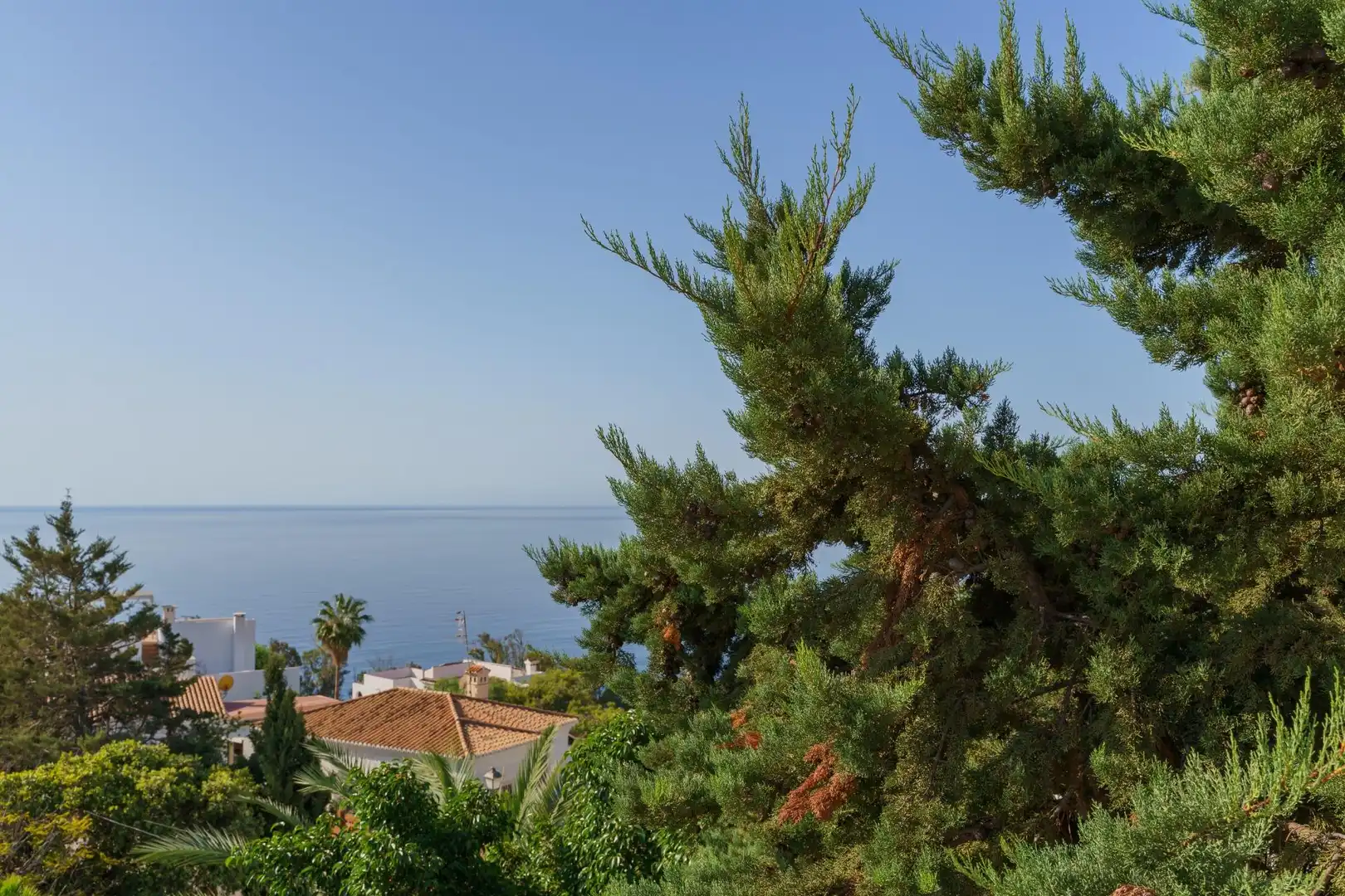Detached house with terrace for sale in Calle Calle Naranjo, Monte de los Almendros, imagen 62