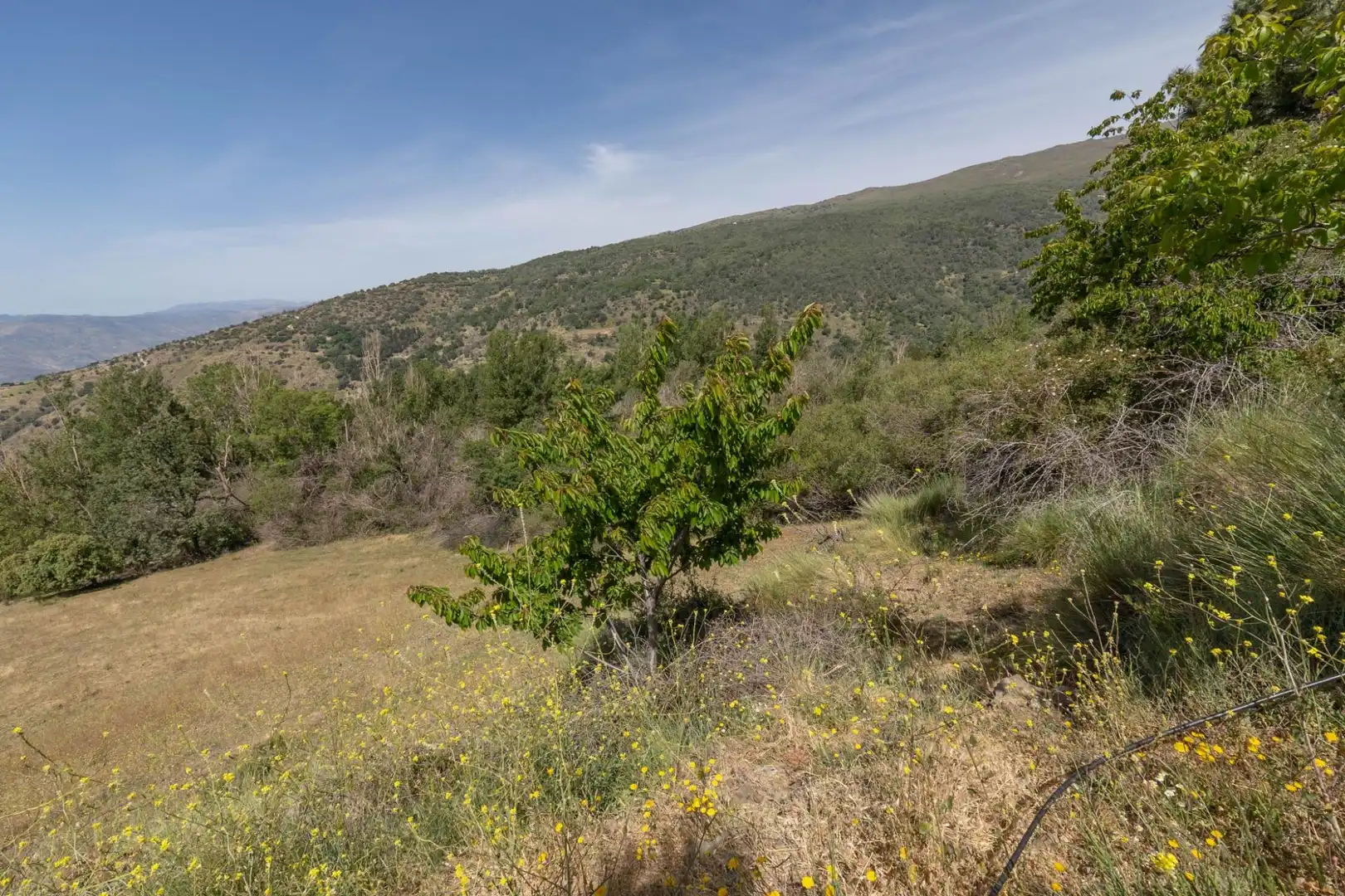 Terreno en venta en Soportújar