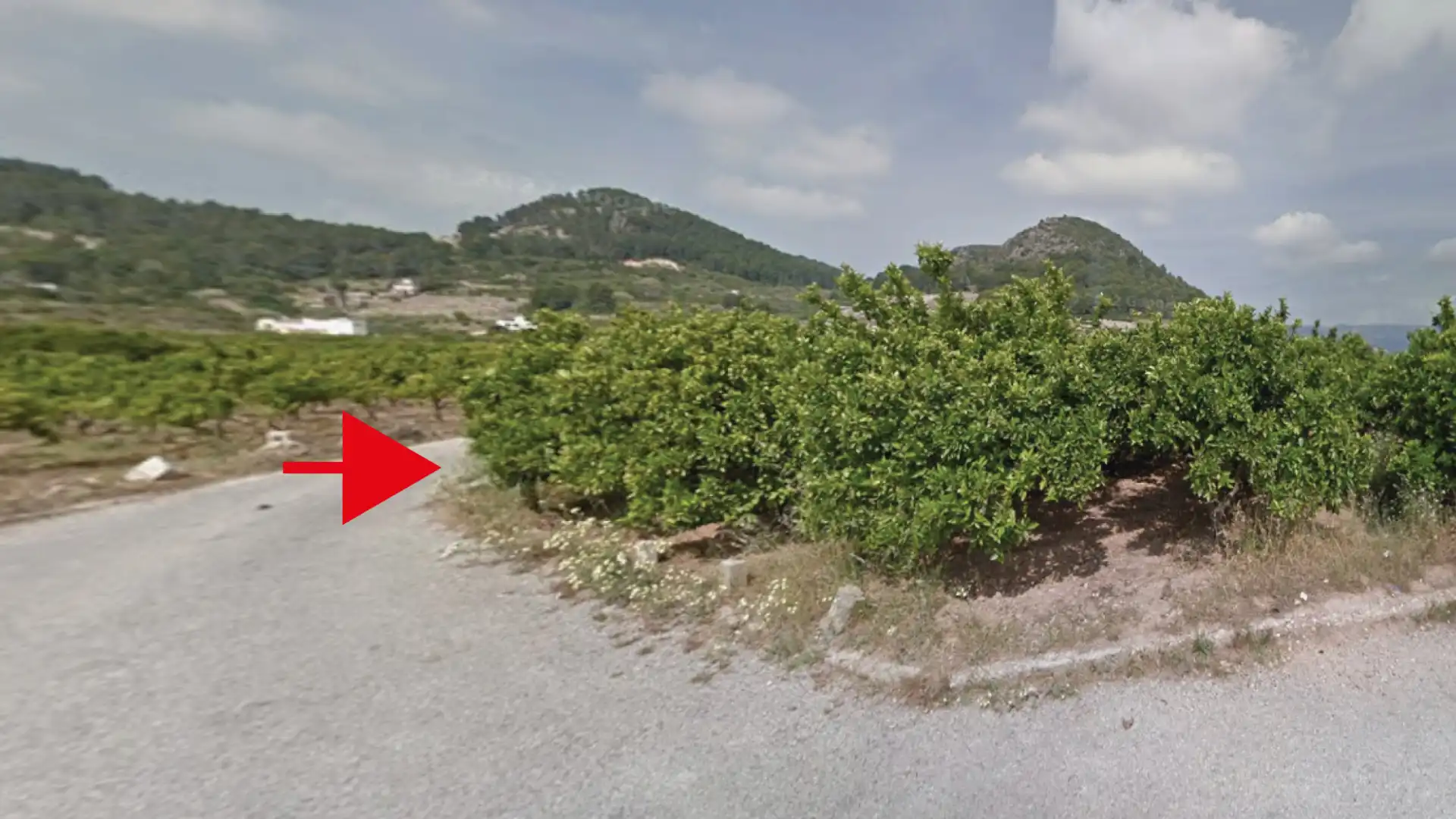 Terreno en venta en Palma de Gandia