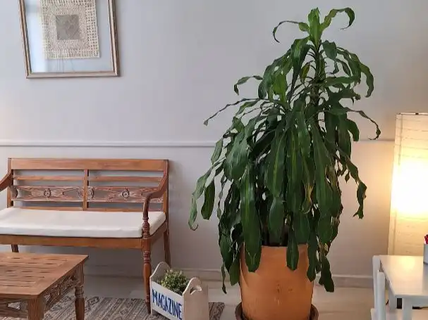 Büro zur Miete in El Puerto de Santa María mit Klimaanlage, Heizung und Möbliert