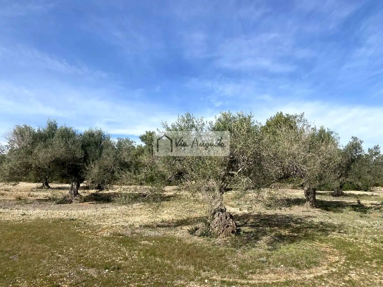 Terreno rustico in vendita a Planas, imagen 33