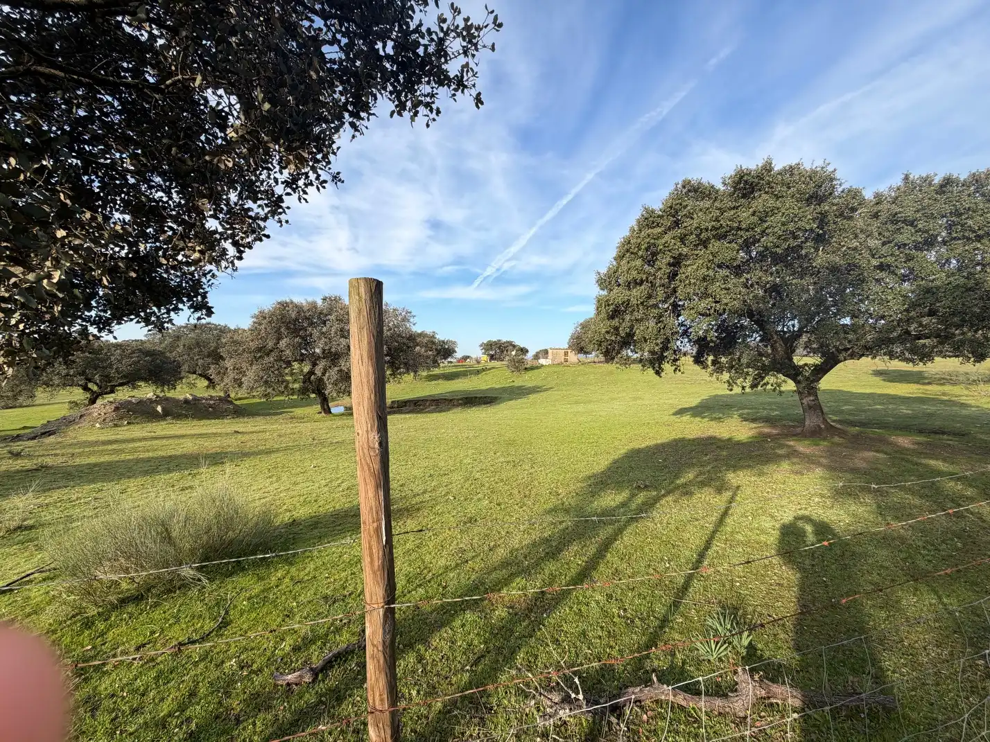 Land for sale in Serradilla