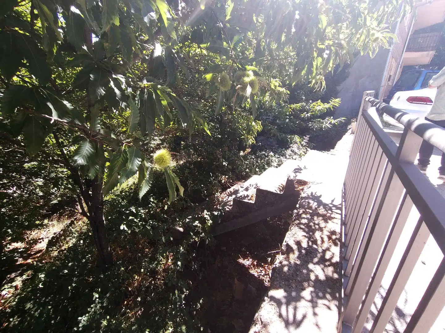 Jardín de Residencial en venta en Casillas