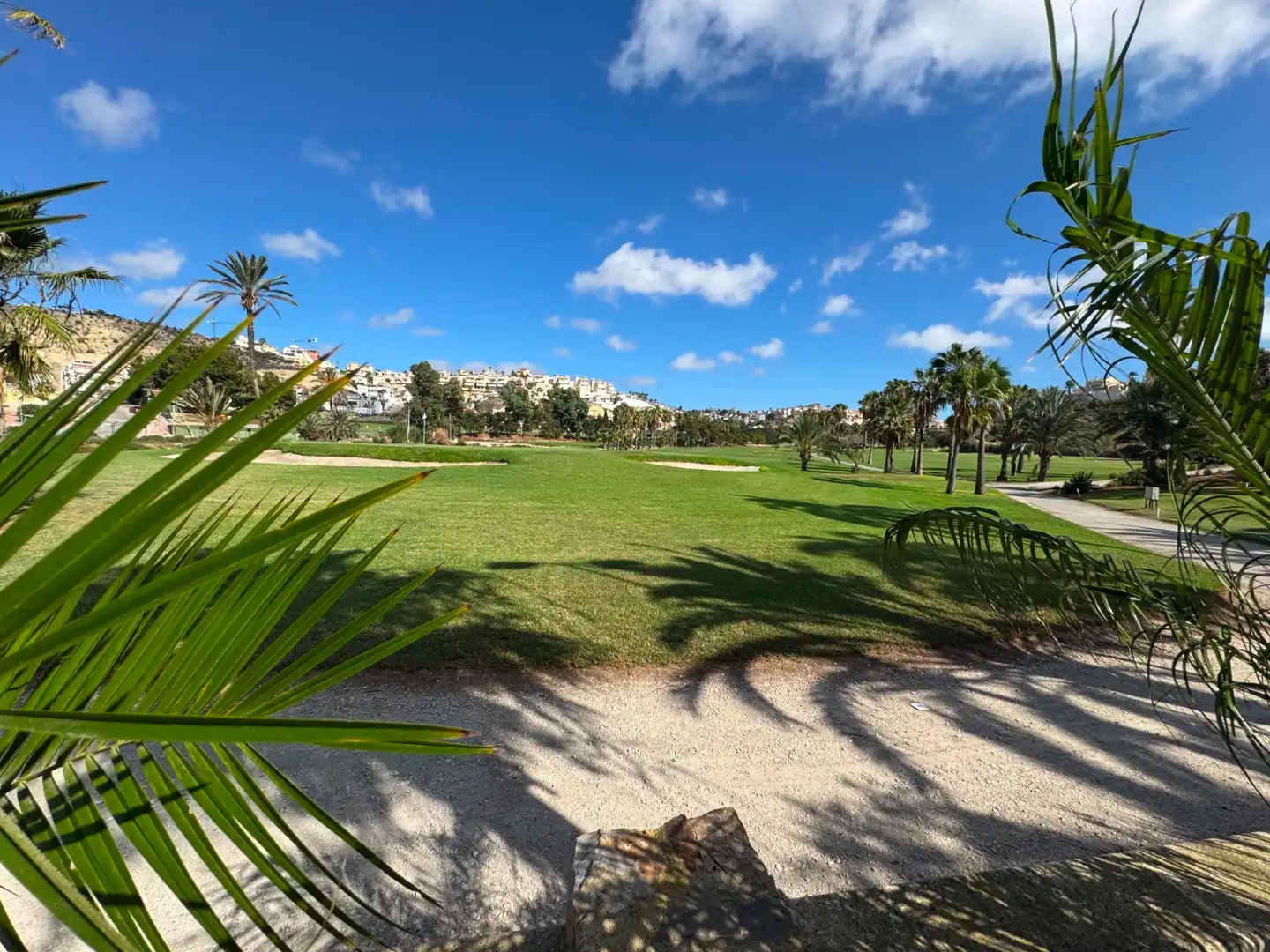 Vista exterior de Casa o chalet en venta en Rojales con Aire acondicionado, Jardín privado y Terraza