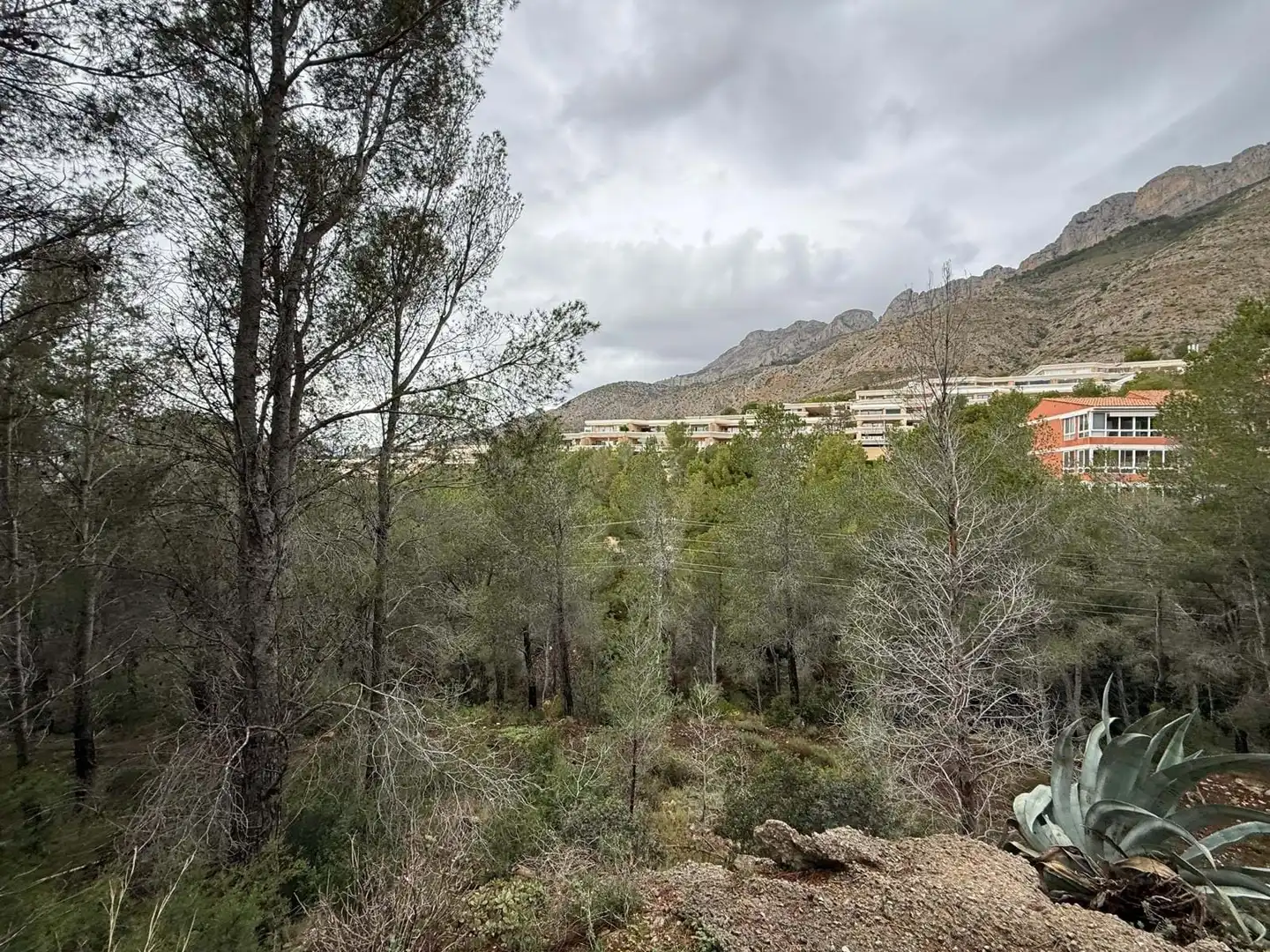 Terreny residencial en venda a Erica, imagen 6