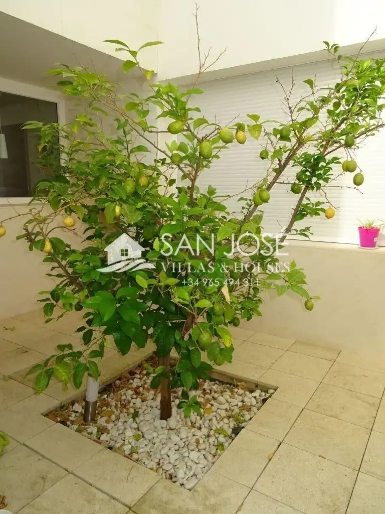 Garden of Houses for sale in Aspe  with Air Conditioner, Heating and Private garden