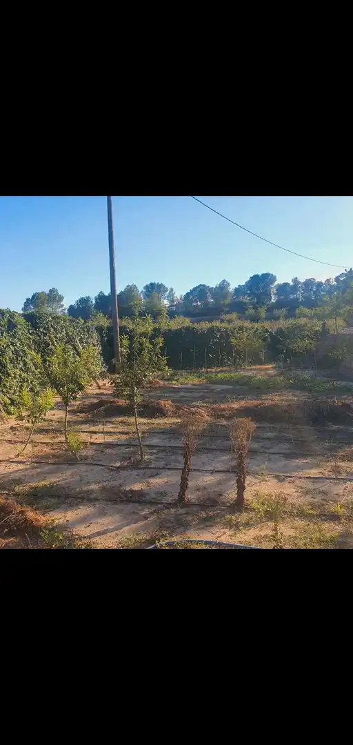 Chalet en venta en Móra d'Ebre, imagen 11