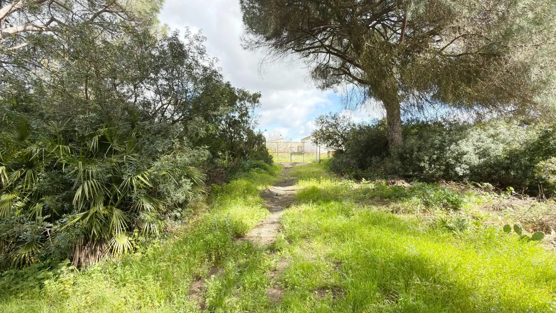Finca rústica en venta en Punta Umbría