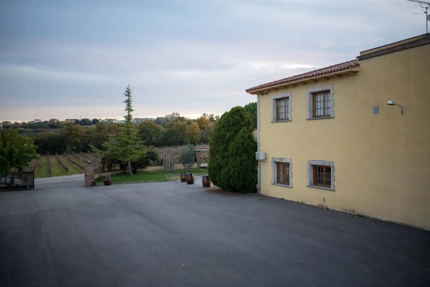 Vista exterior de Finca rústica en venta en Santa Fe del Penedès