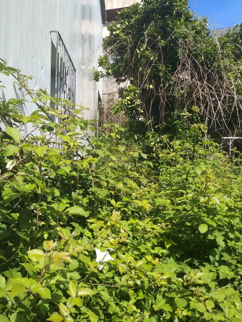 Houses for sale in Vigo   with Storage room
