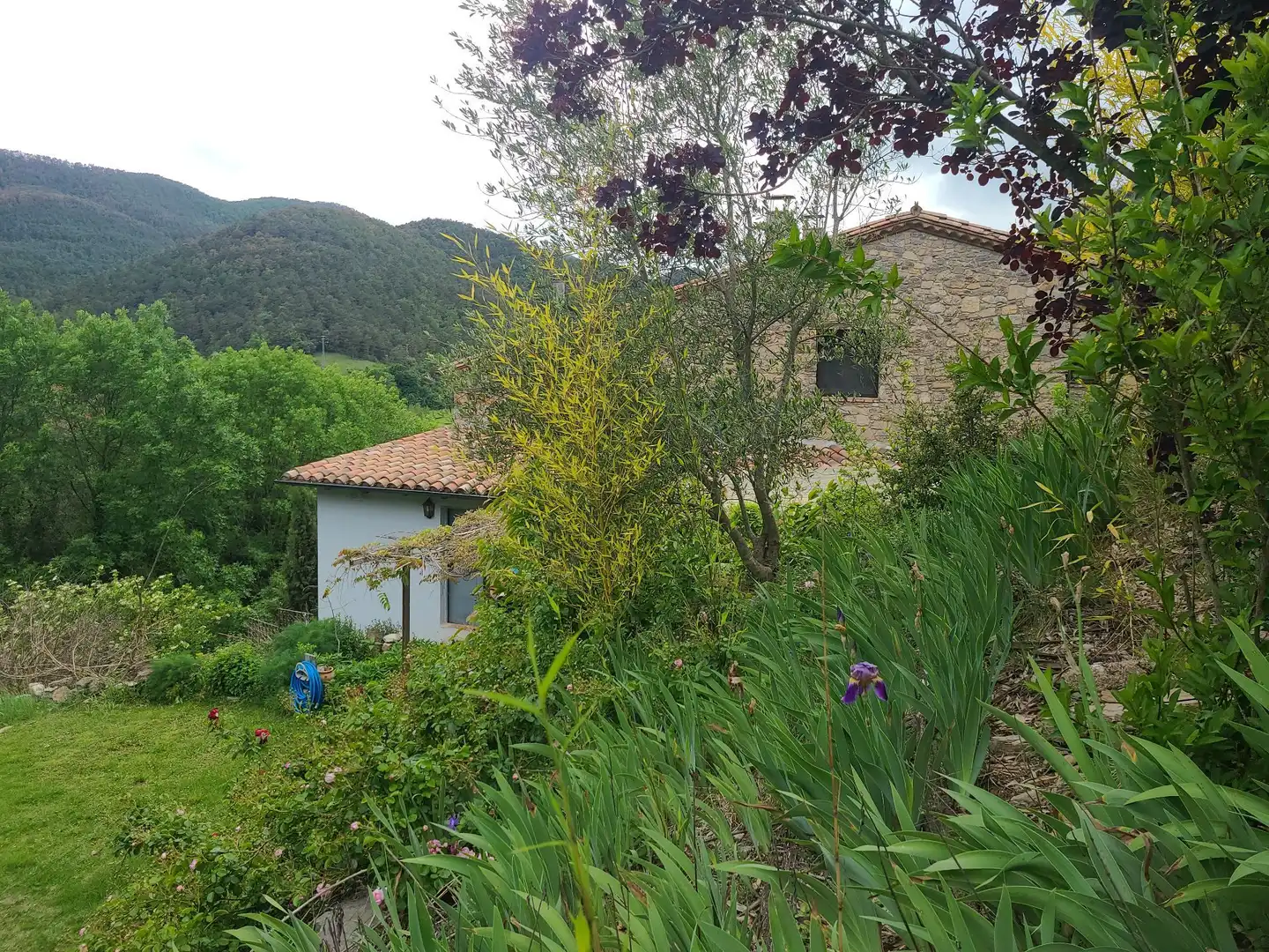 Casa rústica amb jardí en venda a olot, imagen 46