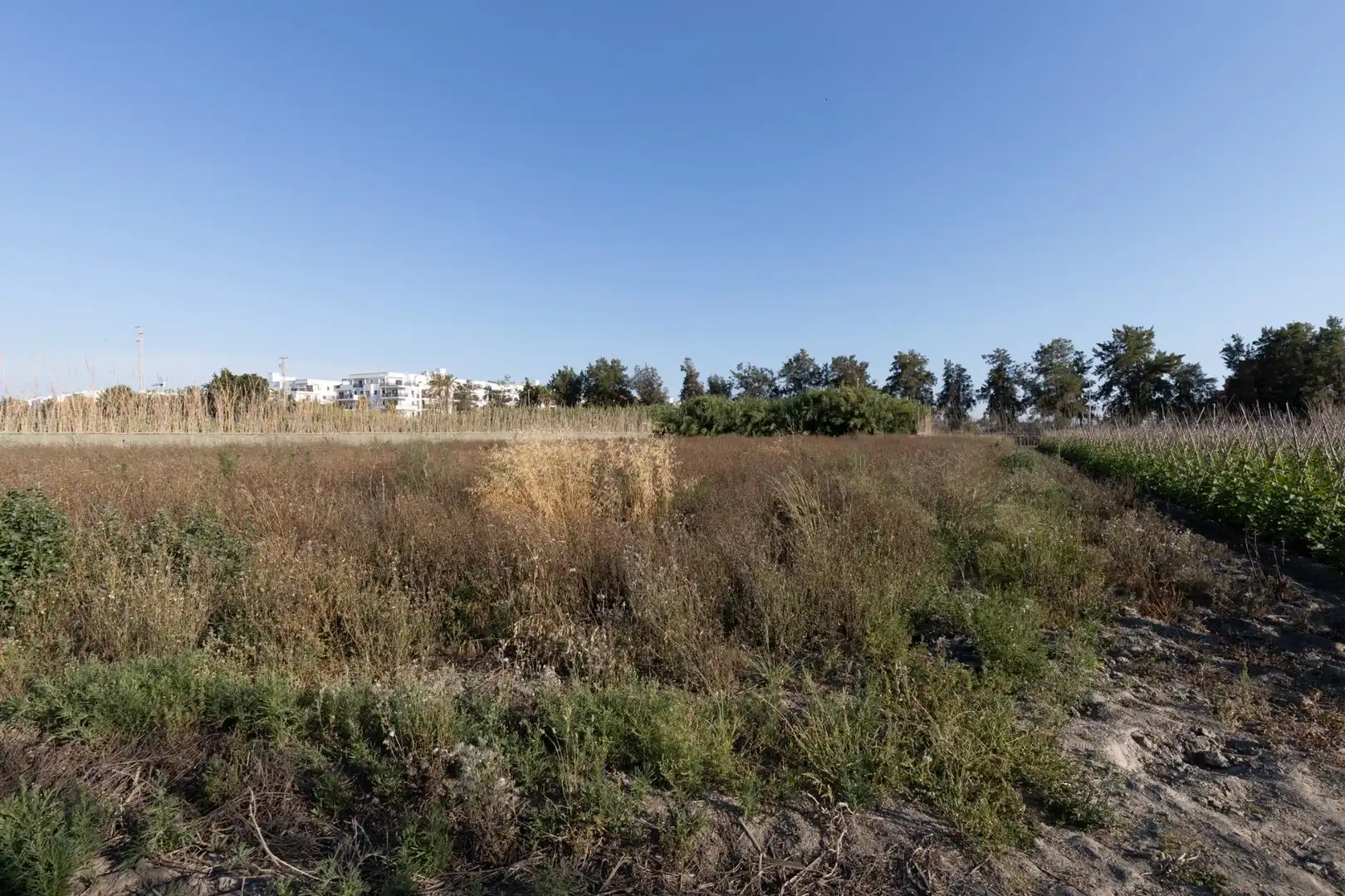Terreny residencial en venda a Calle Sus Pla 1, imagen 13