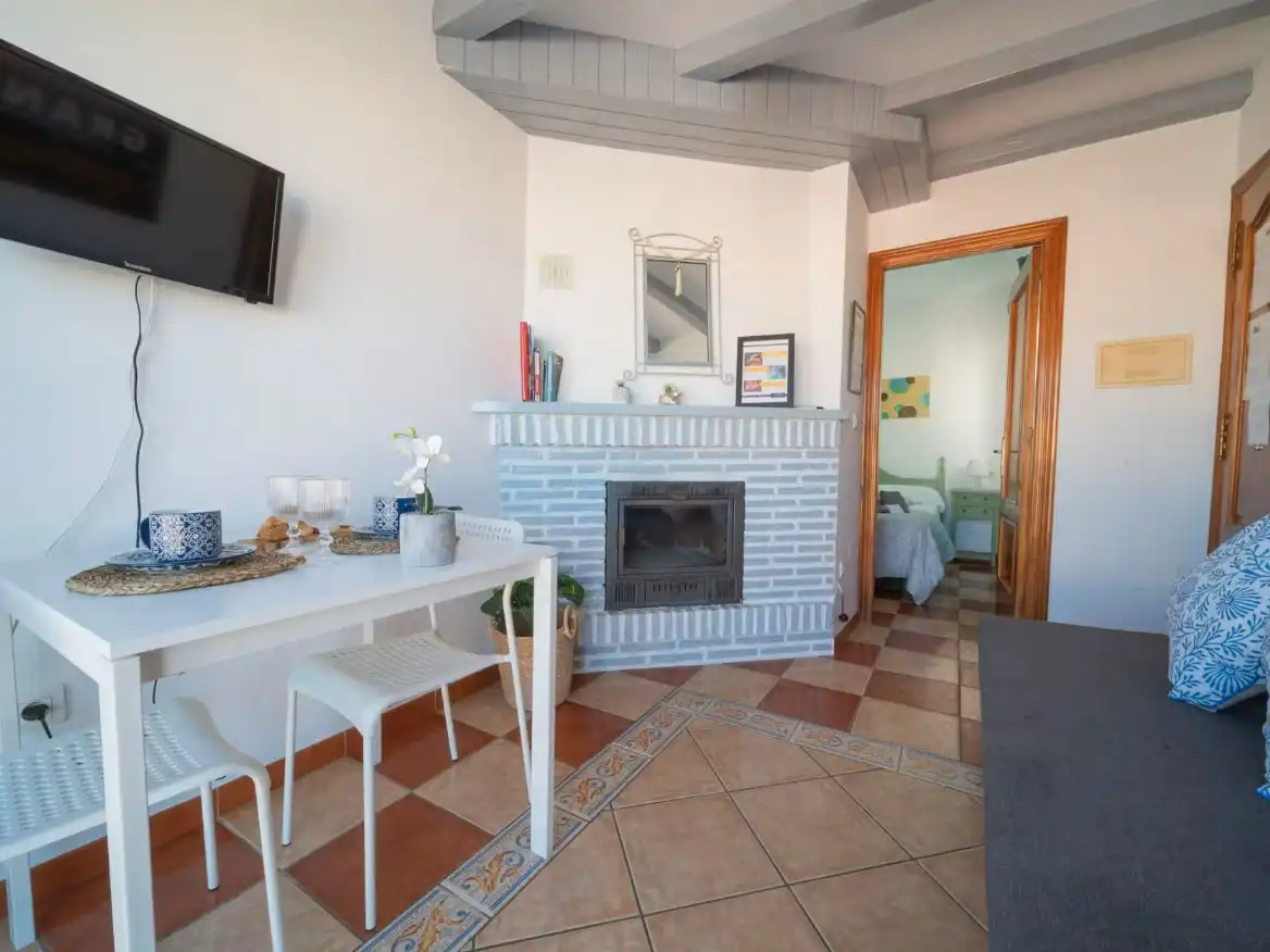 Sala d'estar de Àtic de lloguer en Centro
