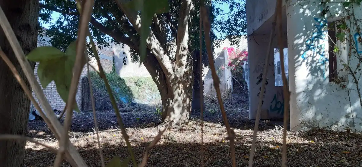 Terrenys i solars en venda a La Soledad, imagen 2
