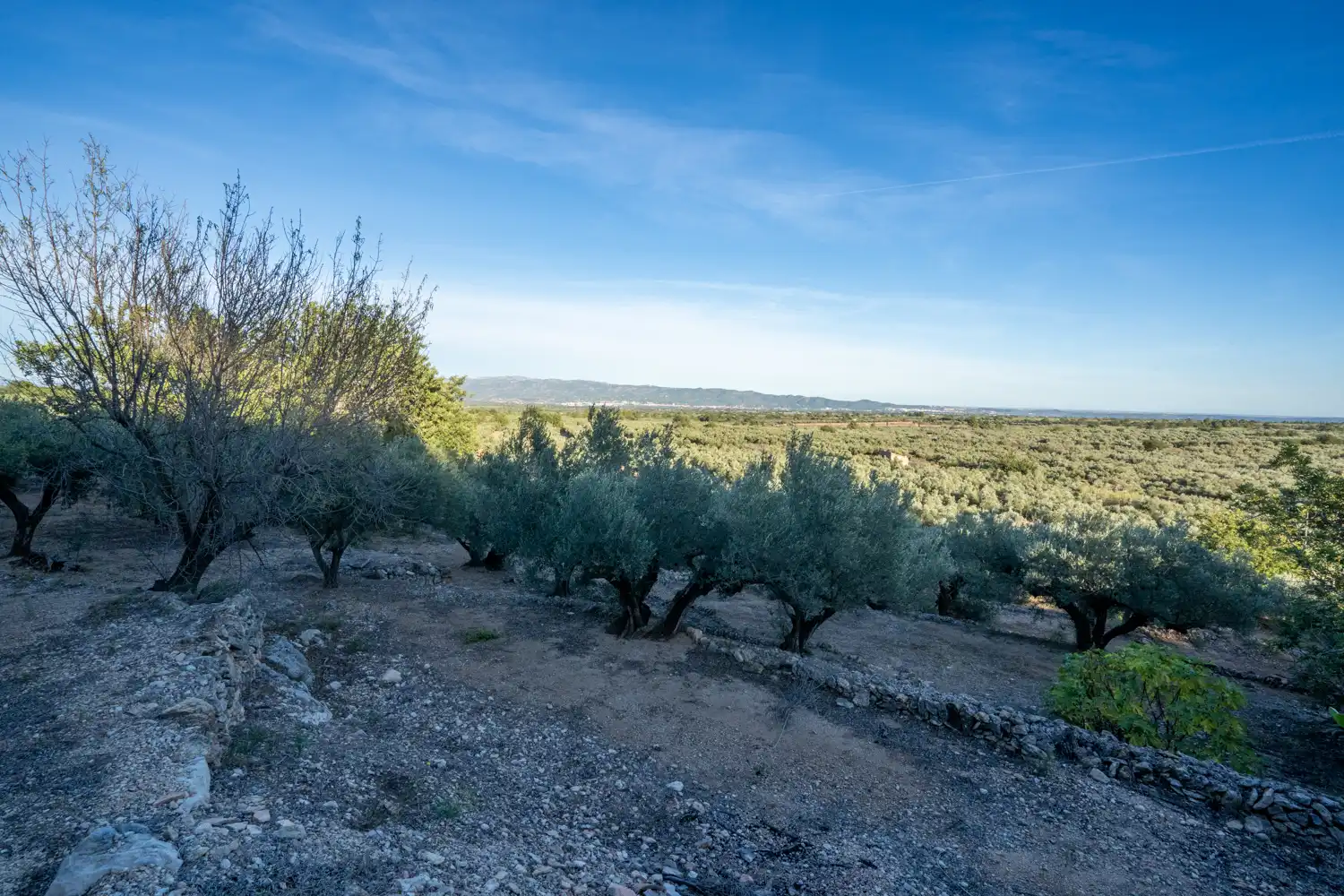 Terrain rustique à vendre à Roquetes, imagen 26