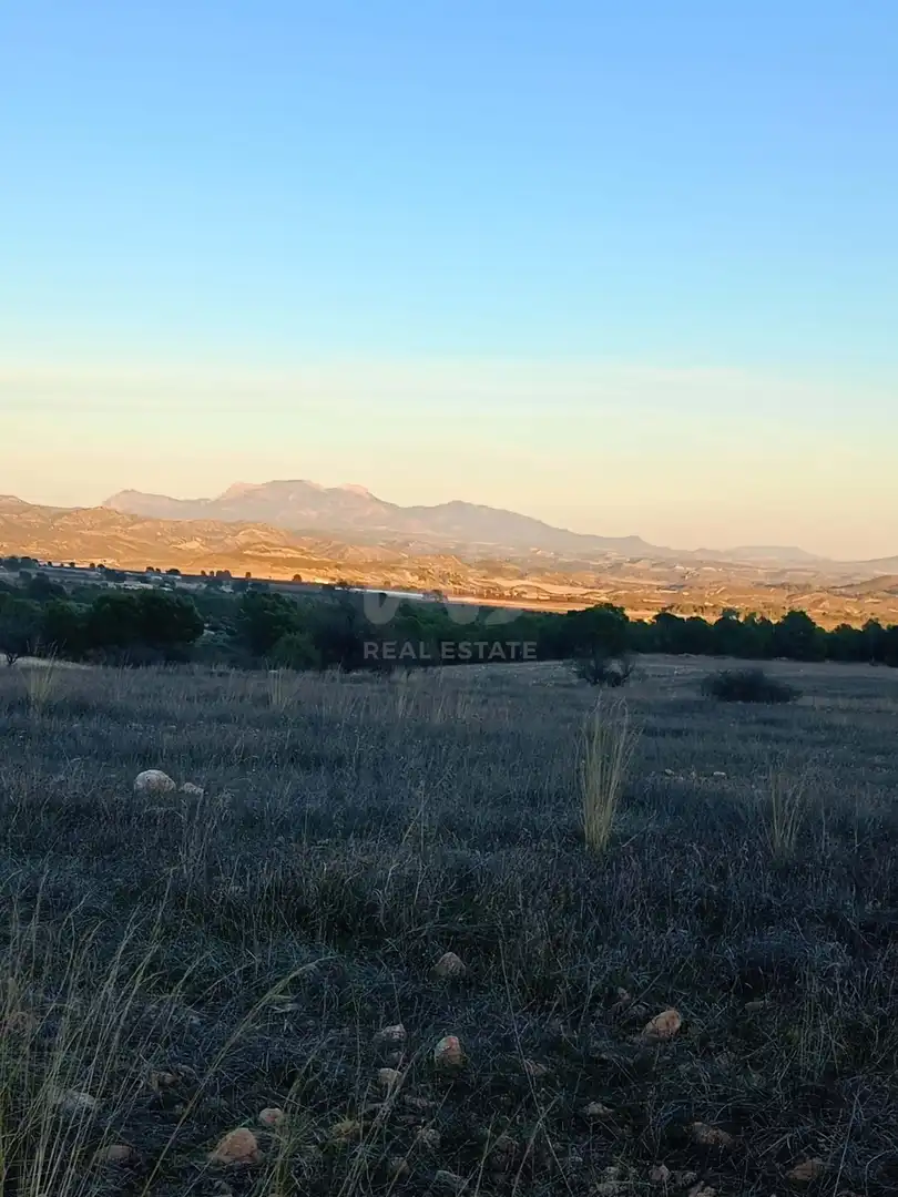 Terreno en venta en Lorca