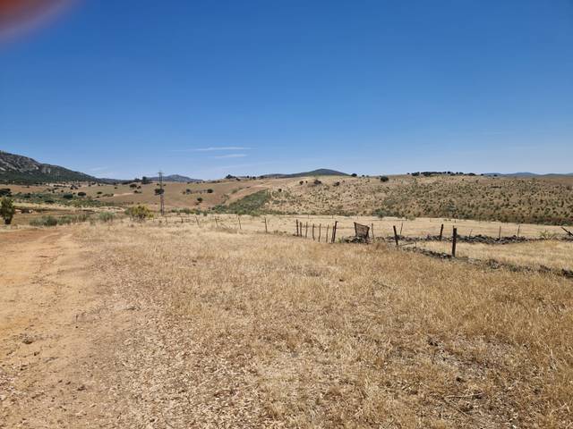 Terreno en Venta en Oliva de Mérida