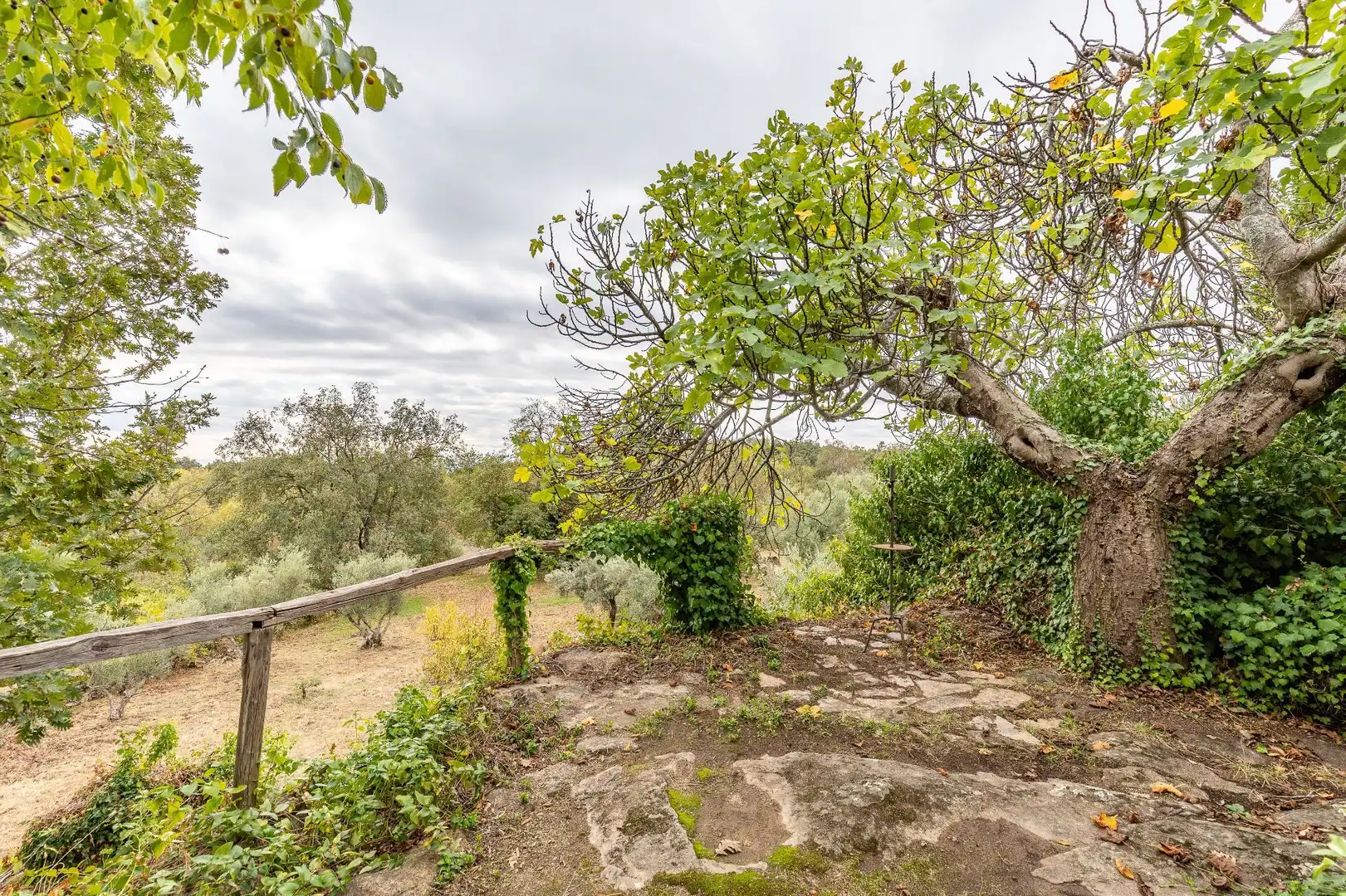 Terreni e lotti in vendita a Villanueva de la Vera, imagen 49