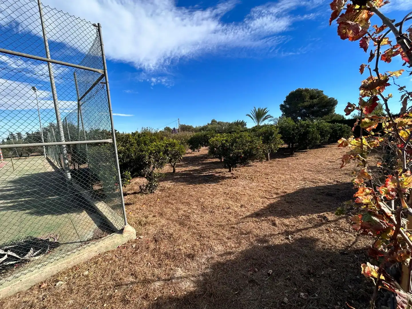 Villa avec terrasse à vendre à Los Balcones - Los Altos, imagen 8