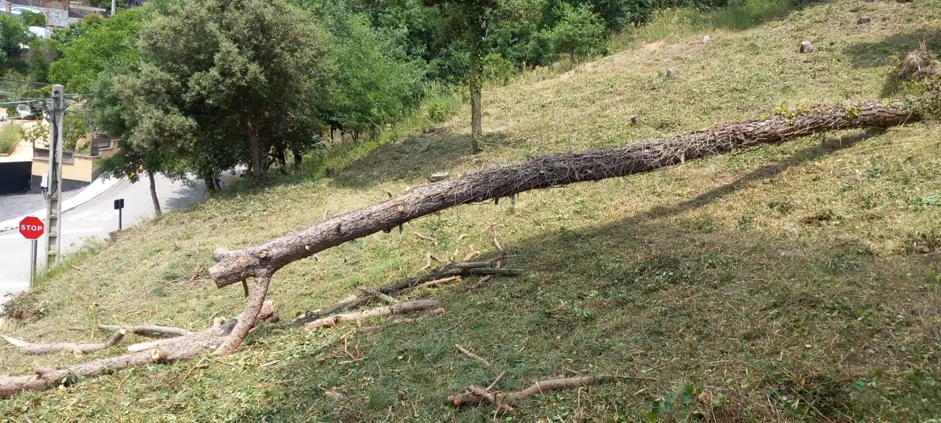 Terreni e lotti in vendita a Santa Maria de Palautordera, imagen 4