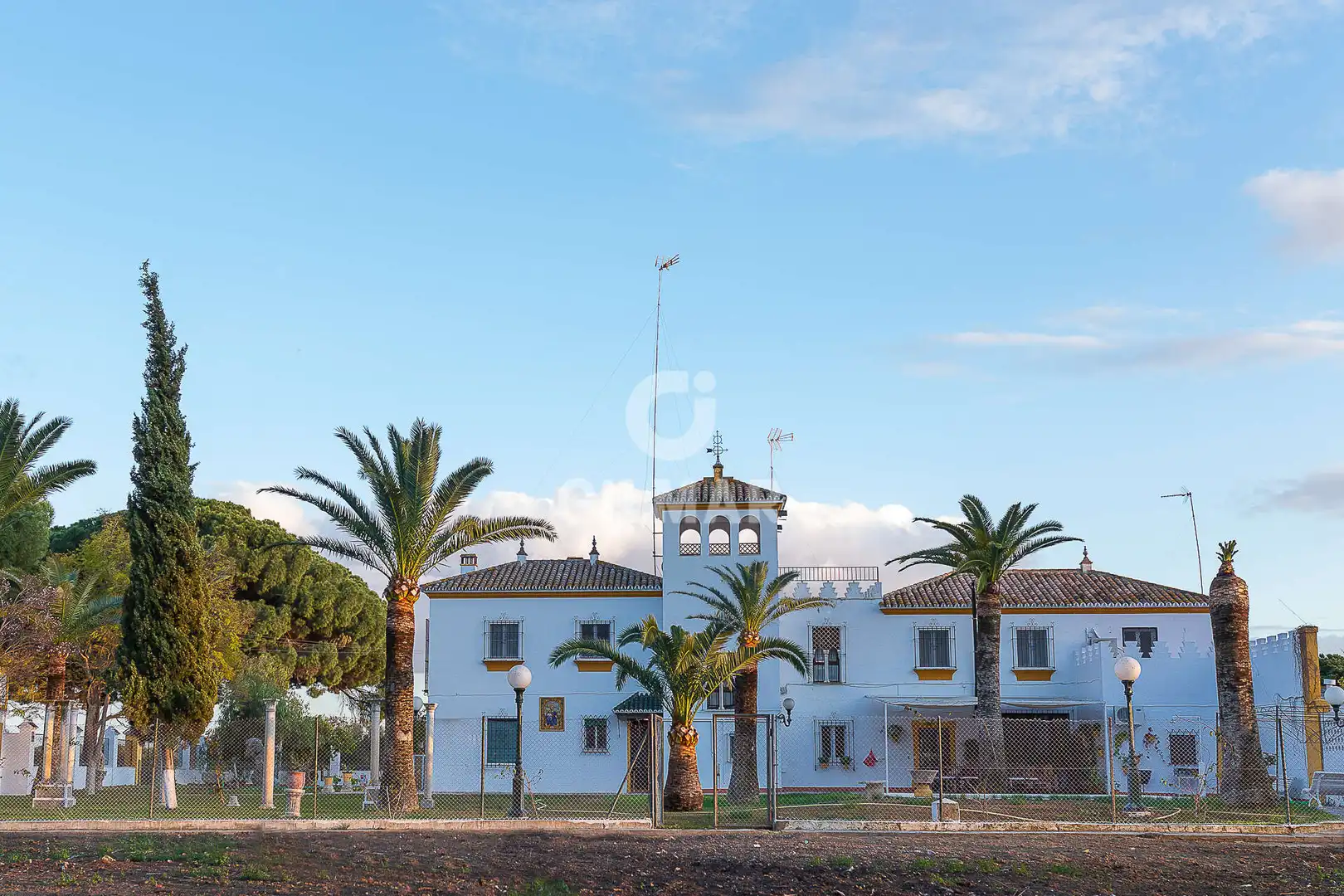 Vista exterior de Casa o chalet en venta en Marchena con Calefacción, Jardín privado y Piscina