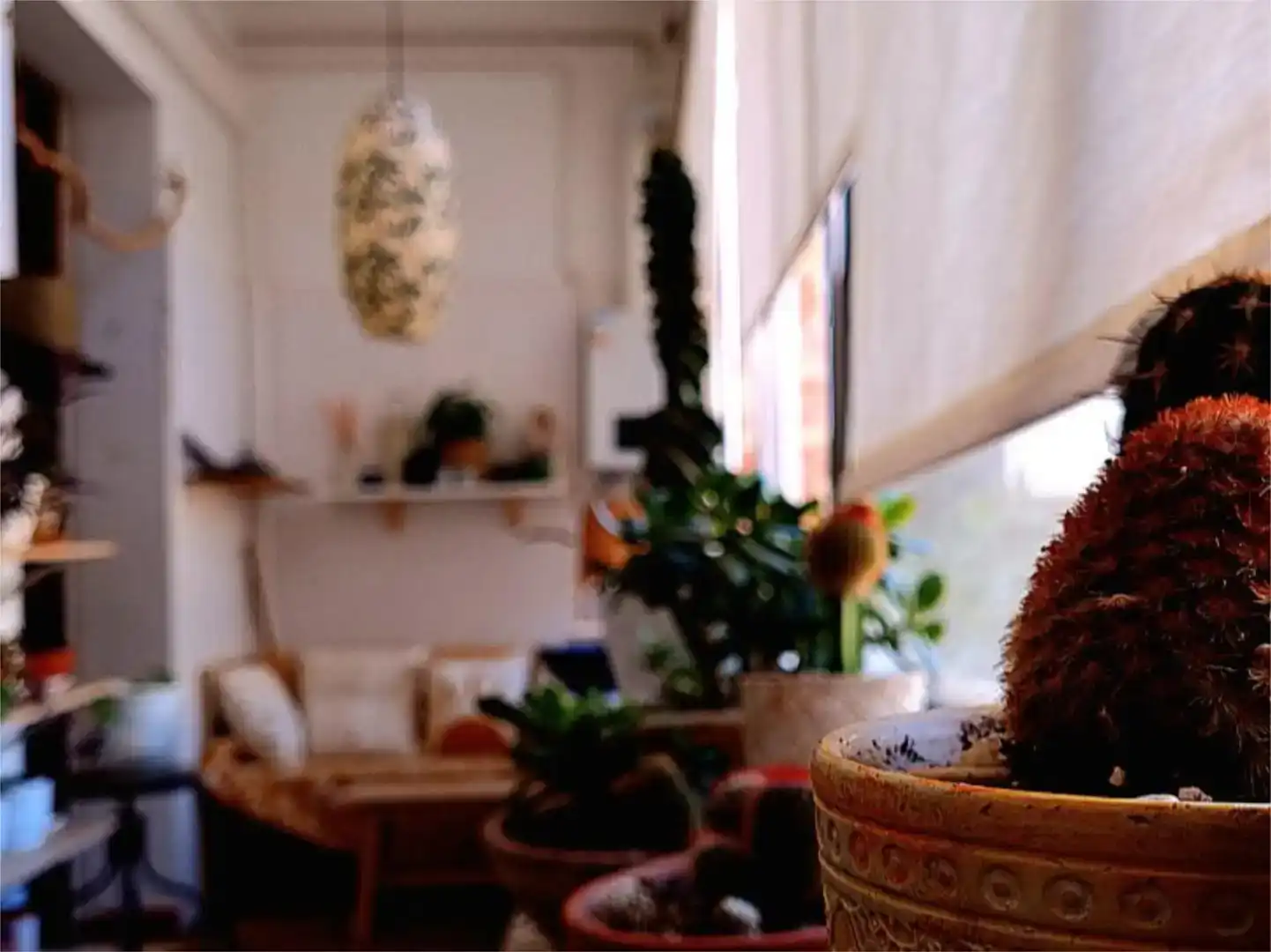 Sala d'estar de Apartament per a compartir en Barcelona amb Aire condicionat, Jardí privat i Parquet