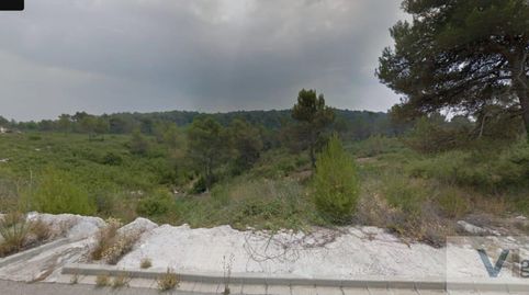 QuerolTerreno