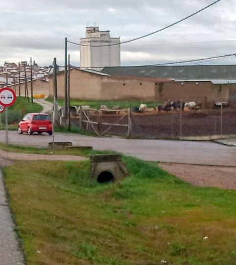Foto 2 von Geschaftsraum zur Miete in Ex-115, 5, Campanario, Badajoz