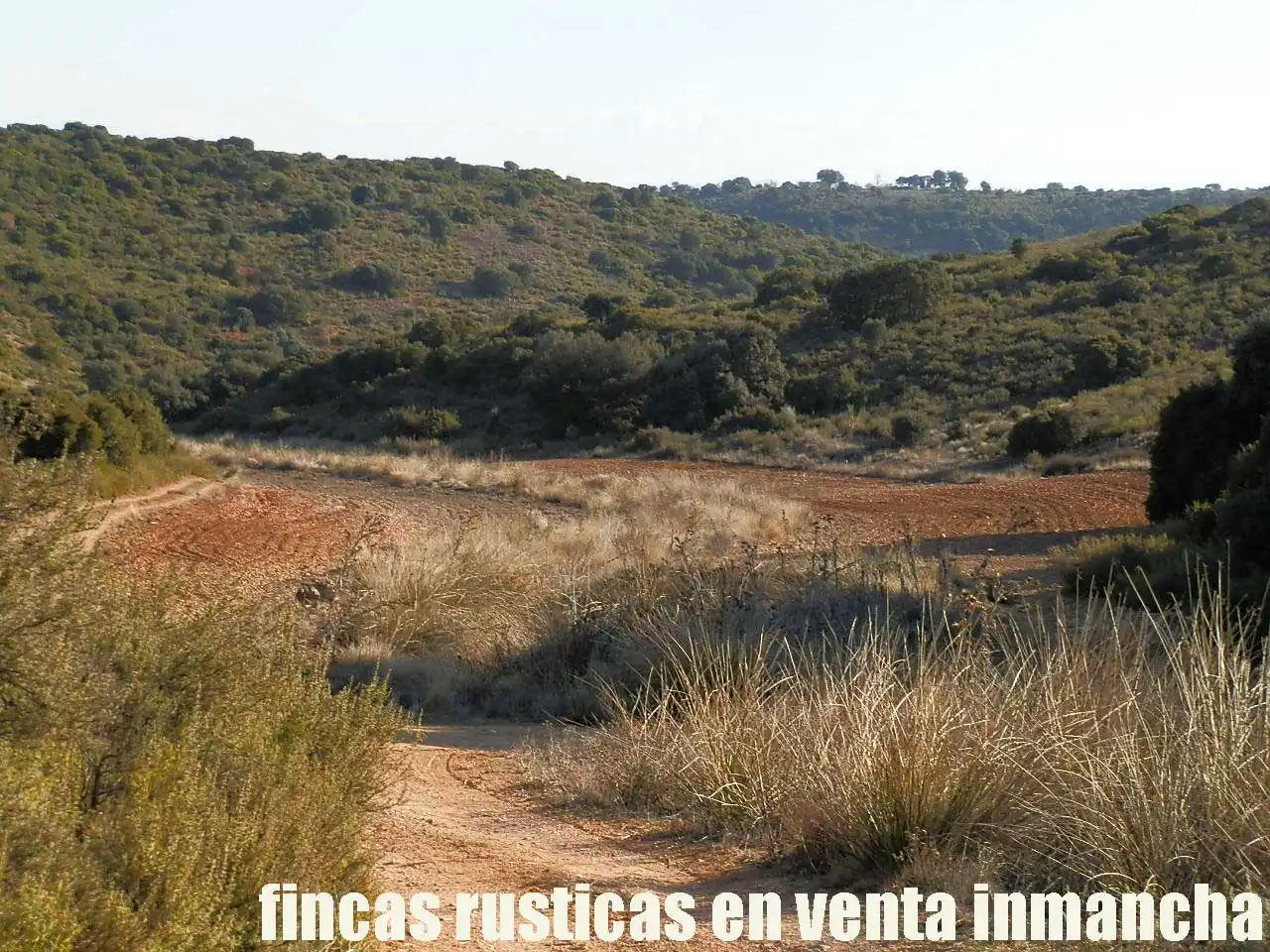 Terreno rustico in vendita a Ruidera, imagen 15