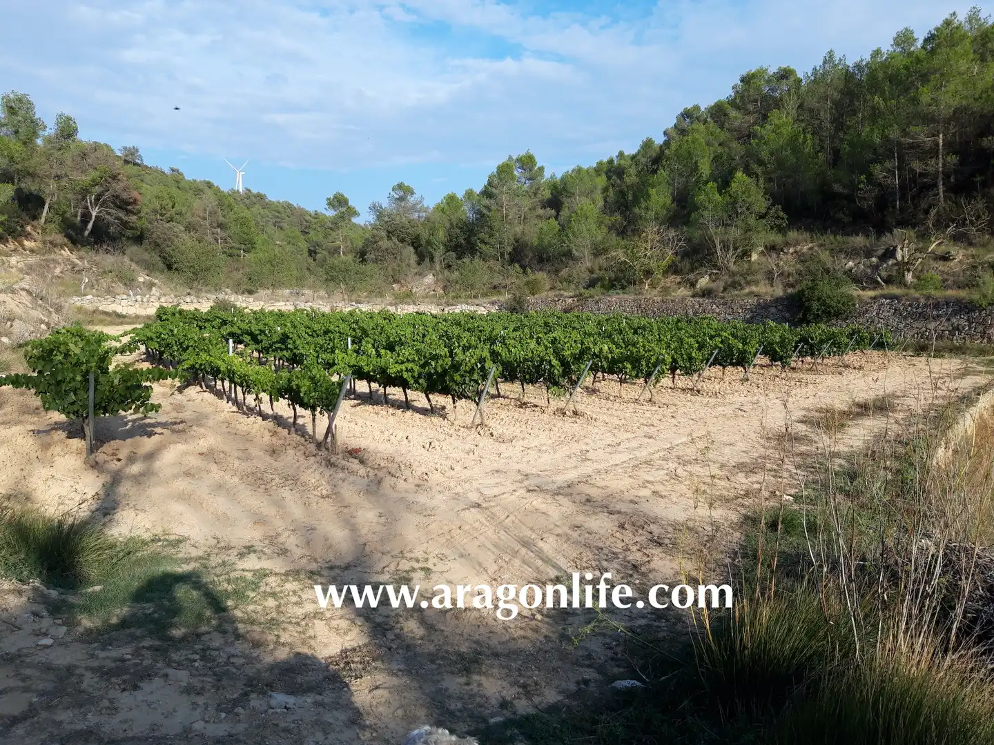 Finca rústica en venda en Caseres