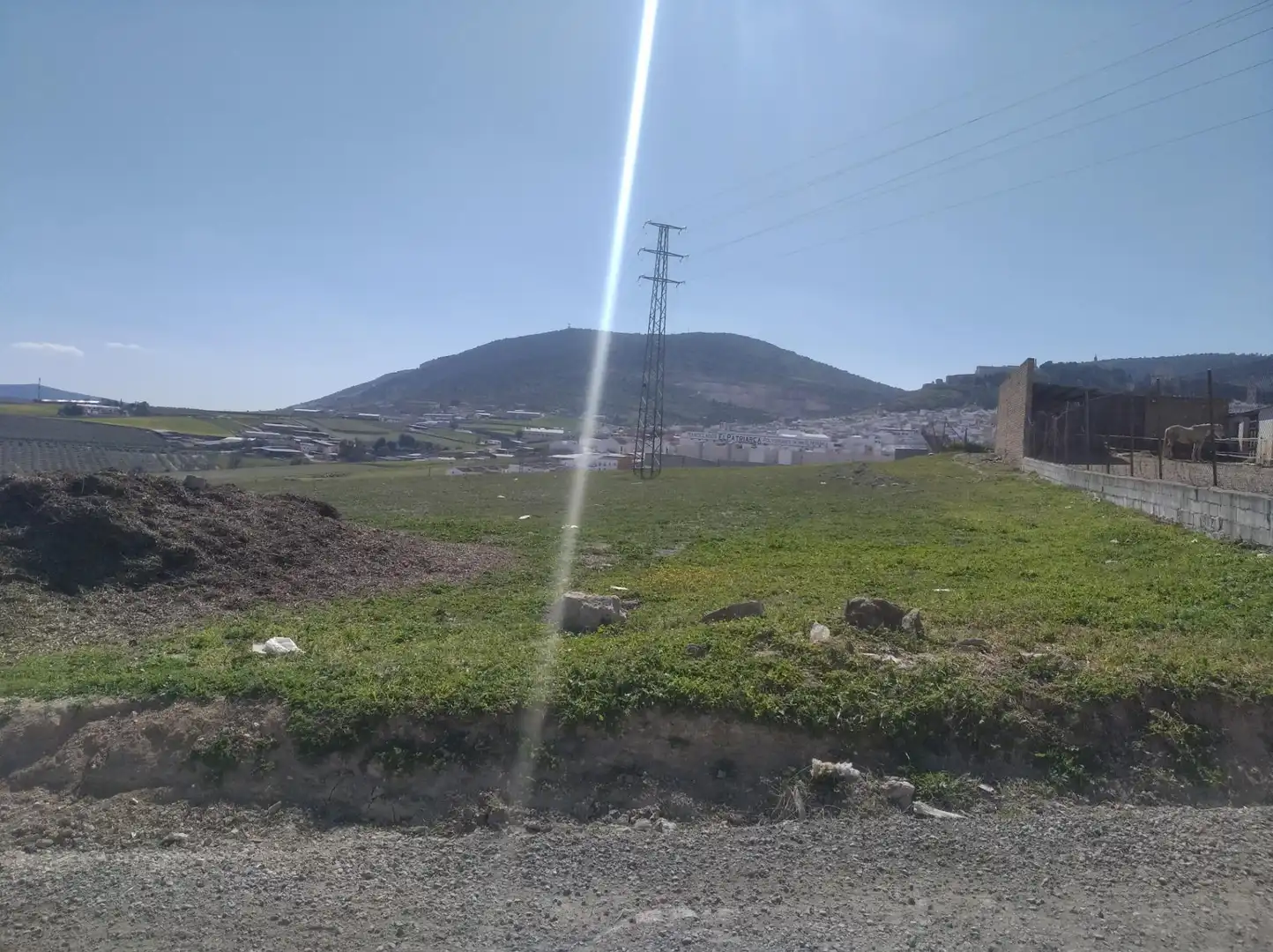 Terrenos y solares en venta en Estepa, imagen 3