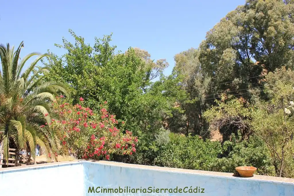 Casa rústica amb piscina en venda a N/A, imagen 52