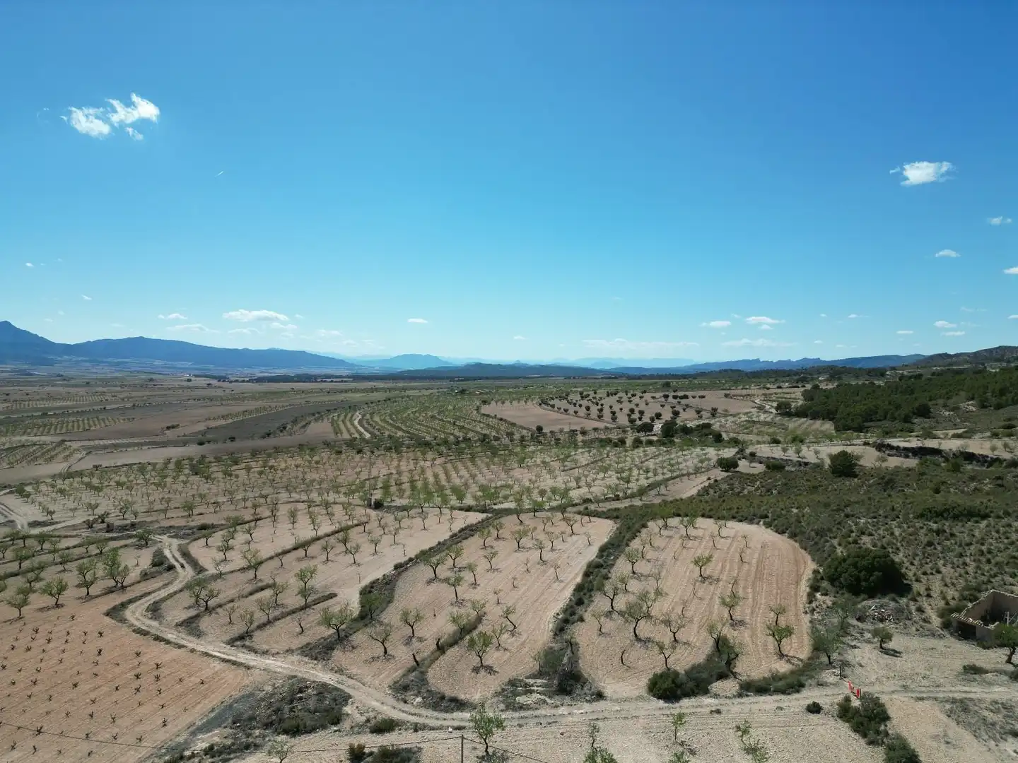 Terreny residencial en venda a Jumilla, imagen 8