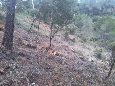 Terreno residenziale in vendita a Vacarisses