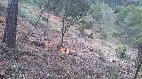 Terreno en venta en Vacarisses..