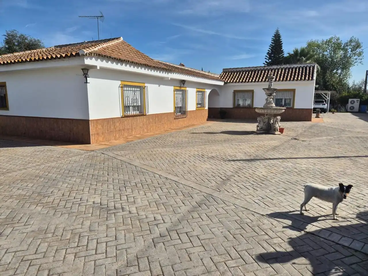Vista exterior de Casa o chalet en venta en Palomares del Río con Aire acondicionado, Jardín privado y Terraza