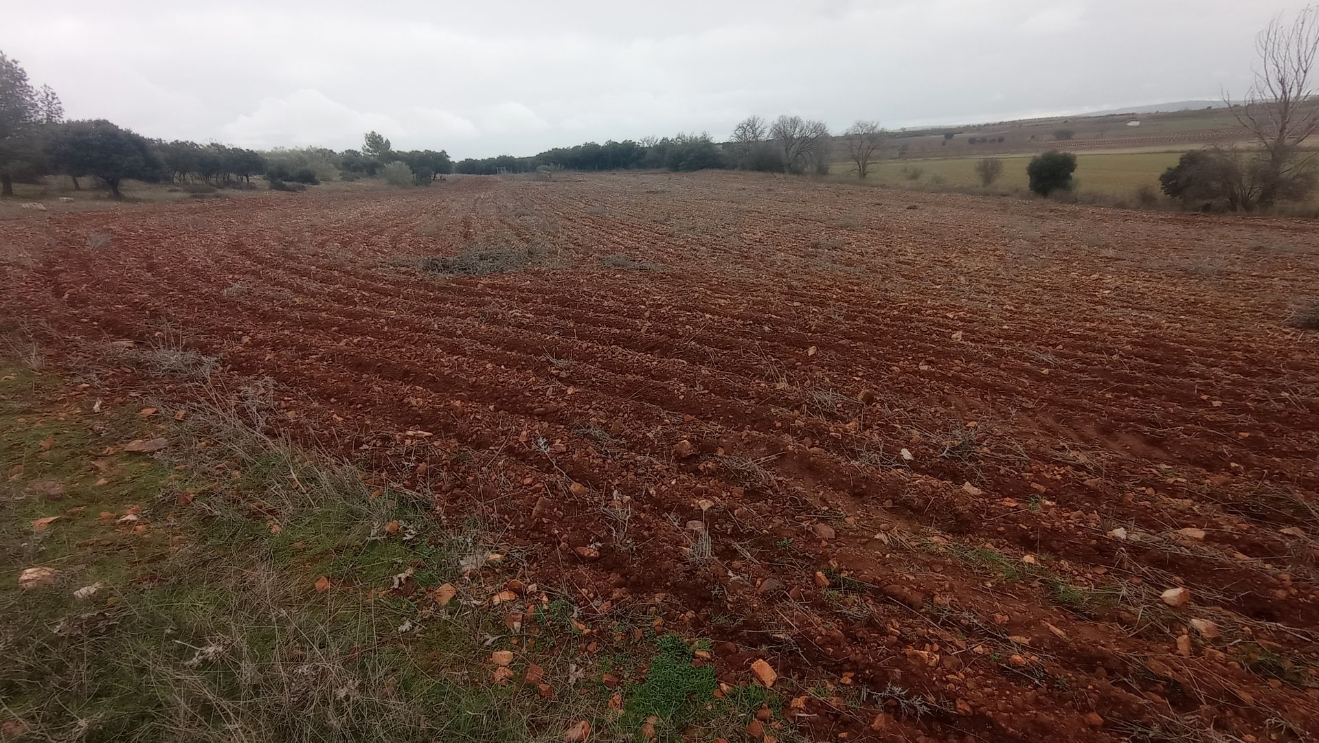 Terreno en venta en Ciudad Real Capital