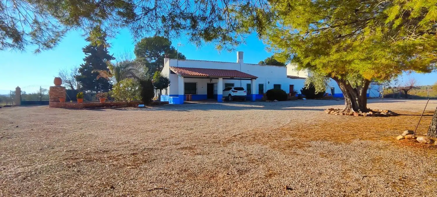 Vista exterior de Casa o chalet en venta en La Solana   con Jardín privado, Terraza y Trastero