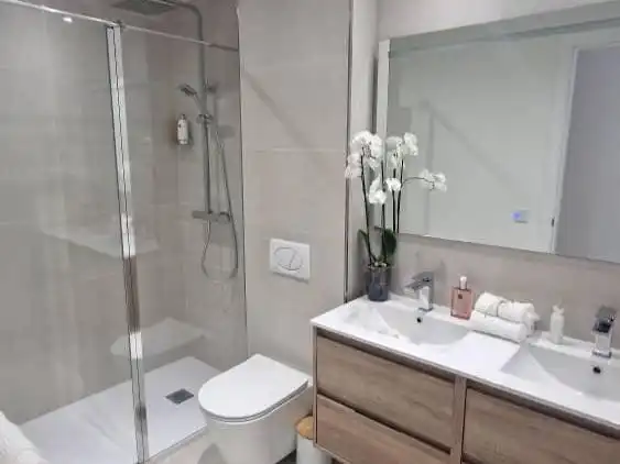Bathroom of Duplexes for rent in El Higuerón