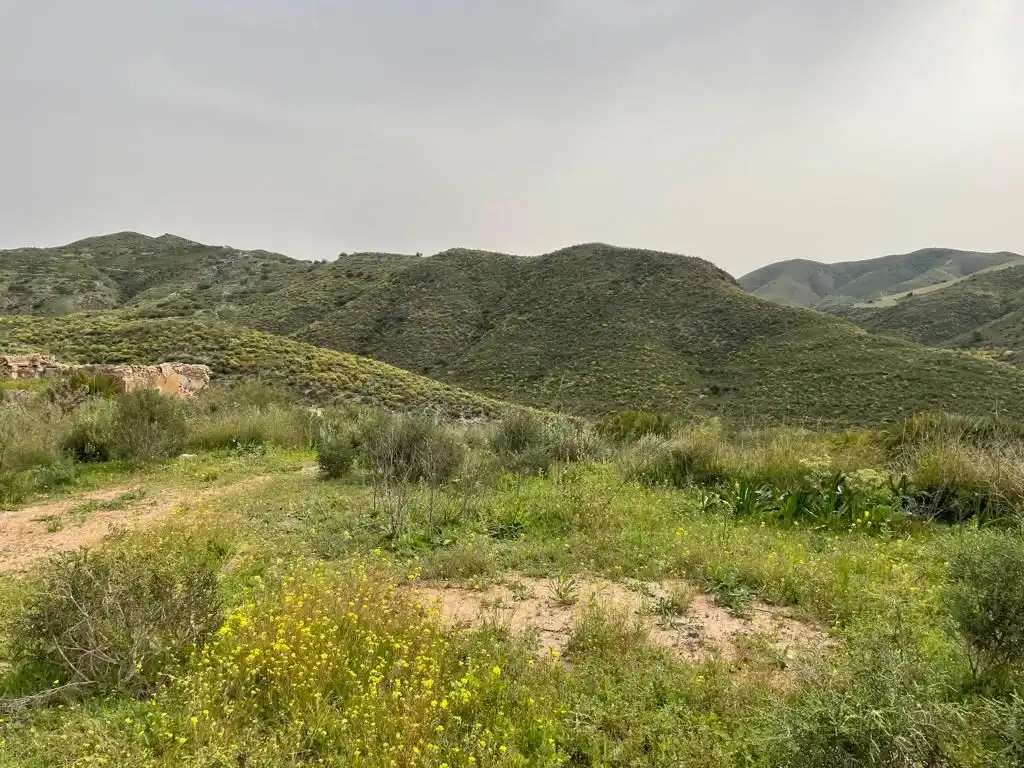 Country homes for sale in Cartagena