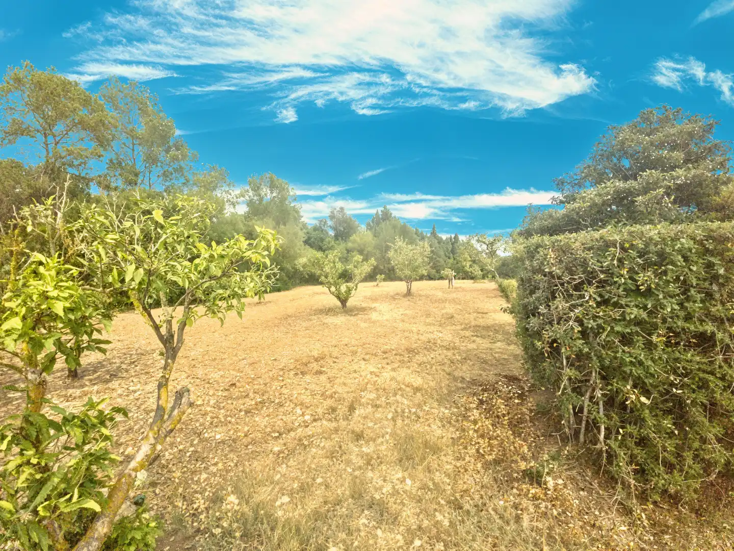 Finca rústica en venda en Son Servera amb Calefacció, Terrassa i Traster
