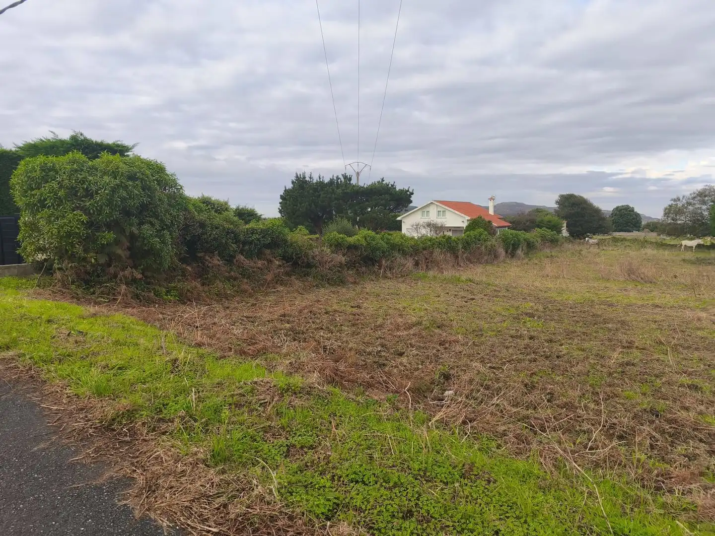 Terreno en venta en Ferrol