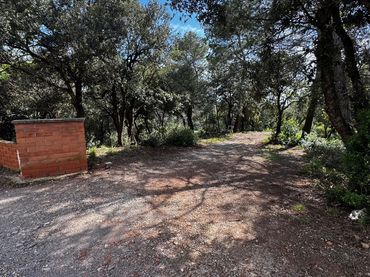 Terrenos y solares en venta en CORBA 11
