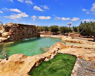 Piscina de Casa o xalet de lloguer en Elche / Elx amb Aire condicionat, Jardí privat i Terrassa