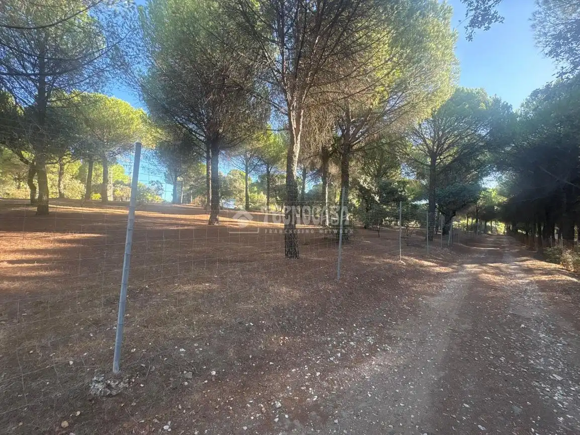 Casa rústica amb jardí en venda a Andújar, imagen 5