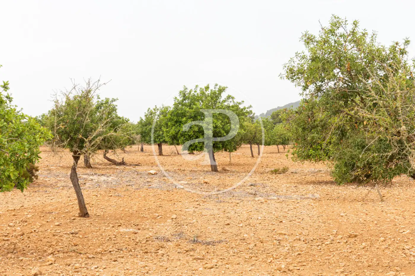 Residencial en venta en Manacor