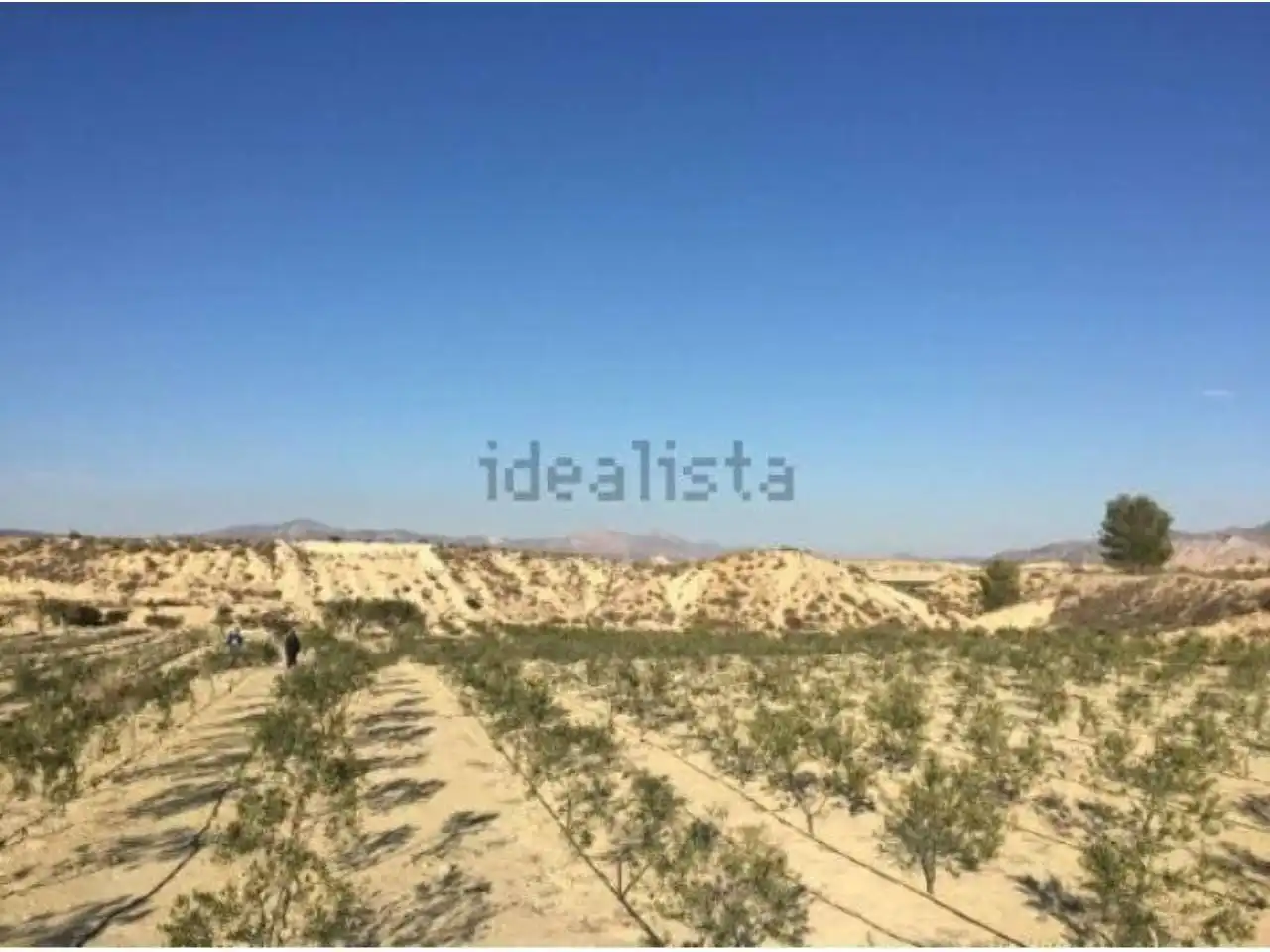 Rural land for sale in Calle MAYOR, imagen 6